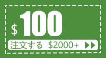 $100 coupon