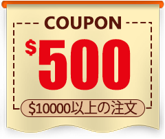 $500 coupon