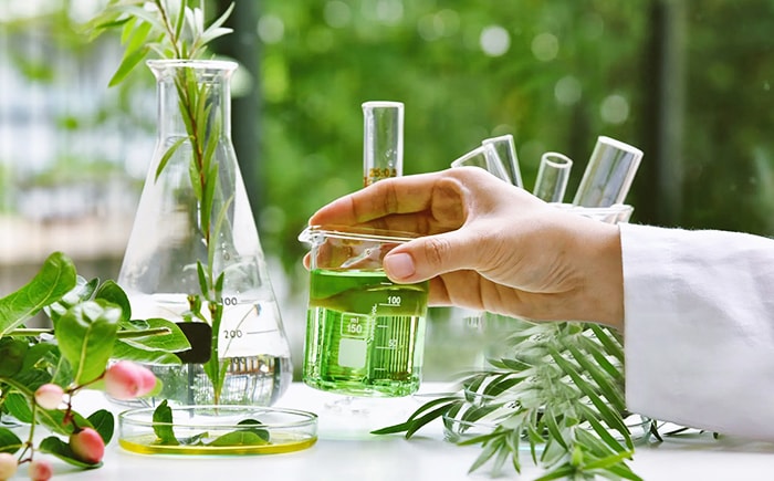 天然物および植物成分の抽出と精製